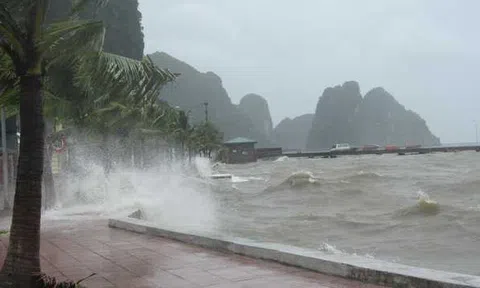 Dự báo thời tiết 14/8: Bão số 4 sắp đổ bộ vào Quảng Ninh – Nam Định, cảnh báo lũ quét